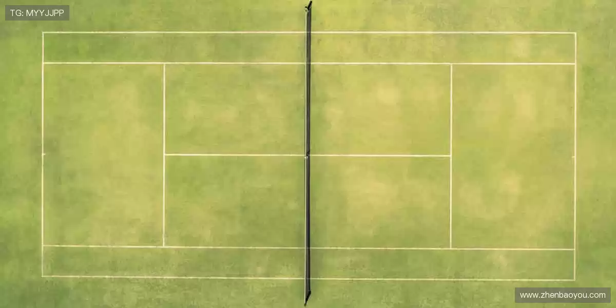 挑战极限,赛场因你而闪耀!🌟